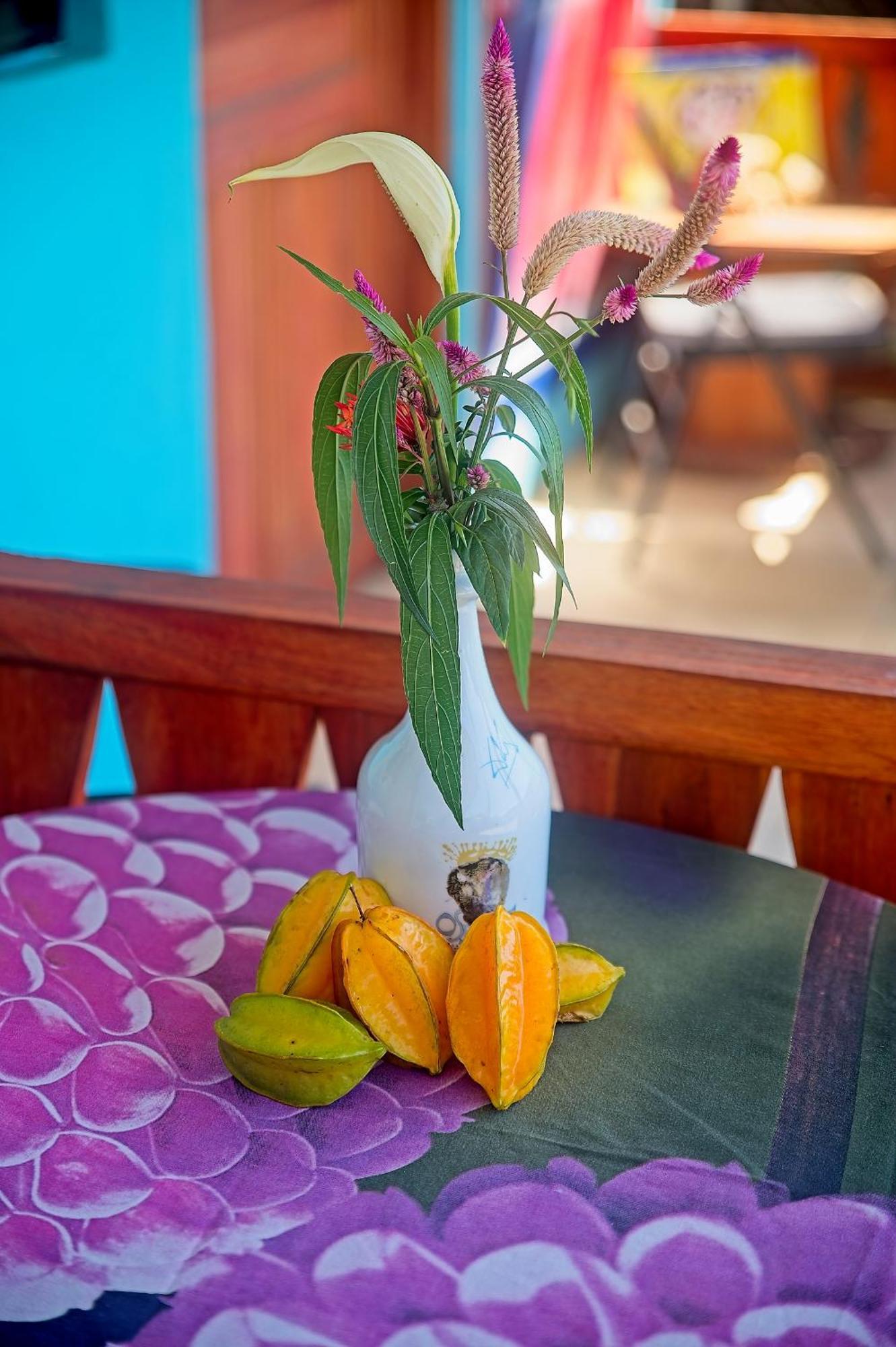 Hotel Mar Caribe Pv Puerto Viejo de Talamanca Zewnętrze zdjęcie