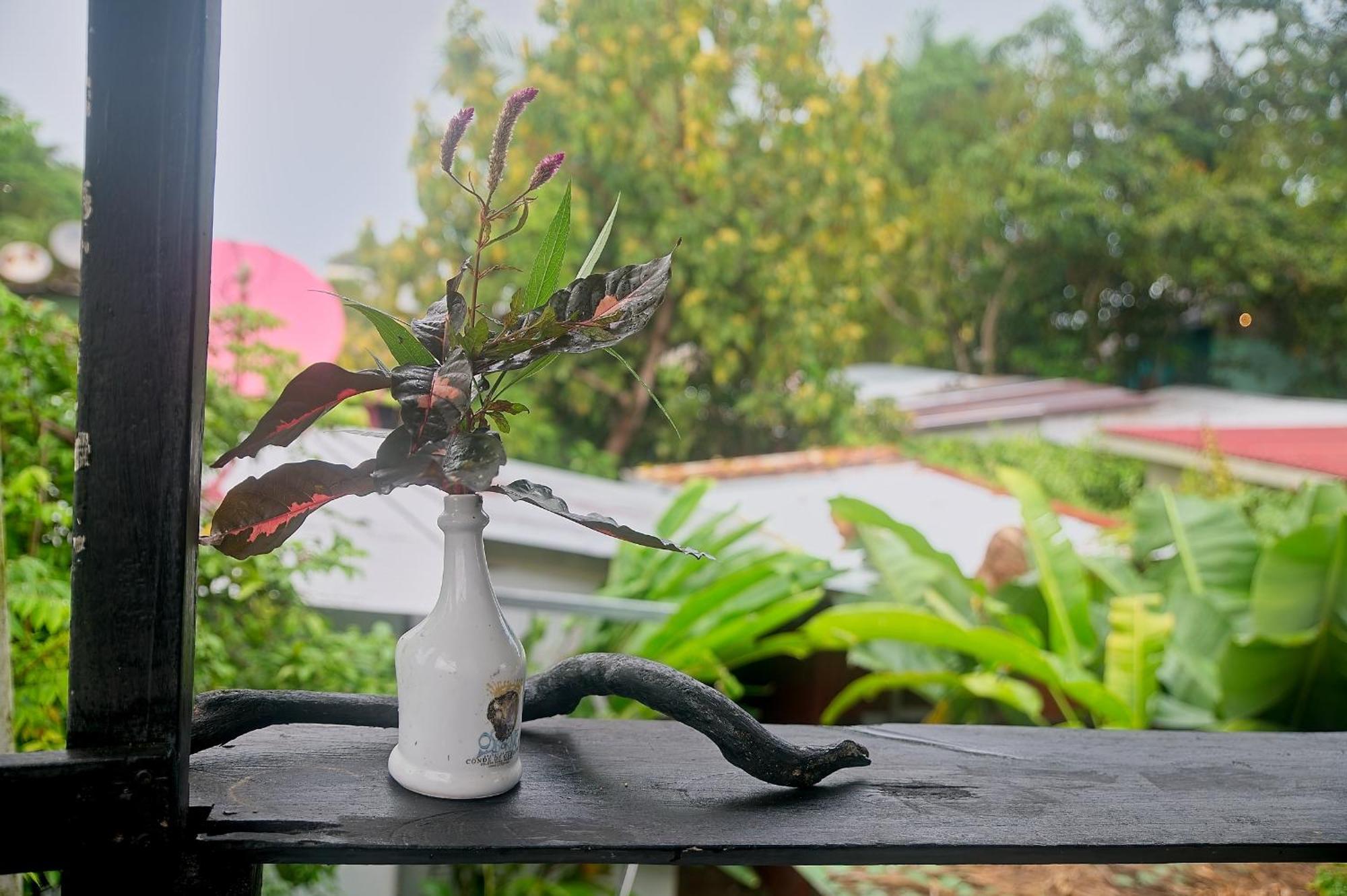Hotel Mar Caribe Pv Puerto Viejo de Talamanca Zewnętrze zdjęcie
